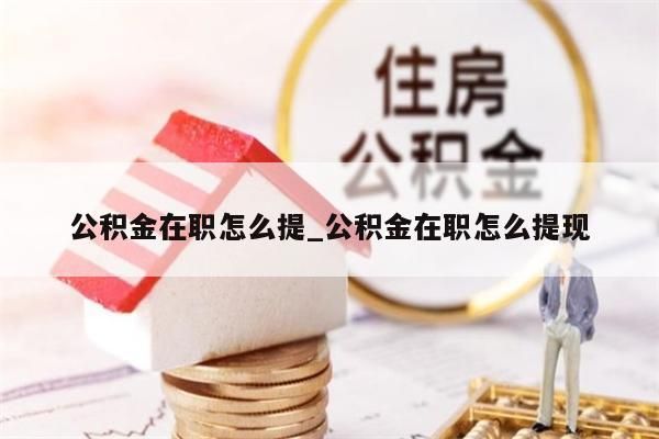 公积金在职怎么提_公积金在职怎么提现