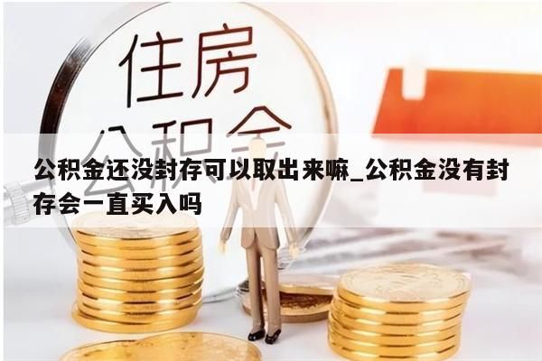 公积金还没封存可以取出来嘛_公积金没有封存会一直买入吗