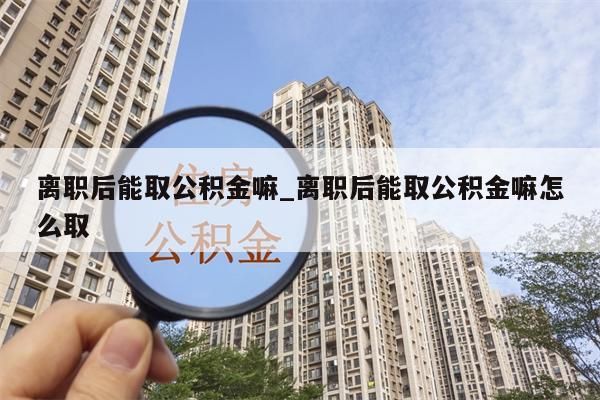 离职后能取公积金嘛_离职后能取公积金嘛怎么取